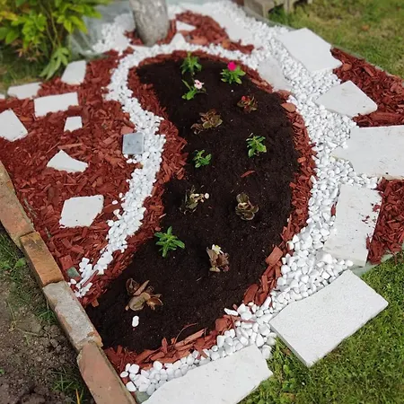 Dream * Bosanska Krupa