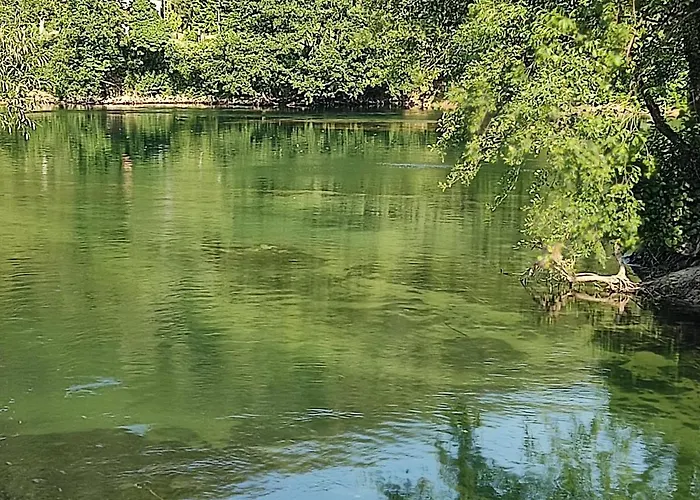 Dream Διαμέρισμα *