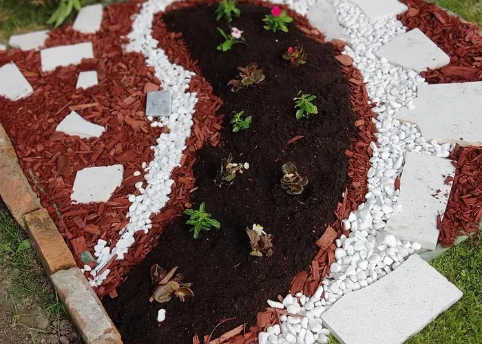 Dream * Bosanska Krupa